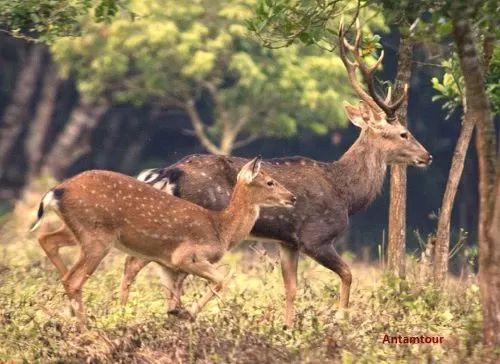 チャンアン美しい.
