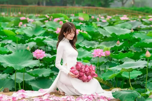 ベトナムの蓮花