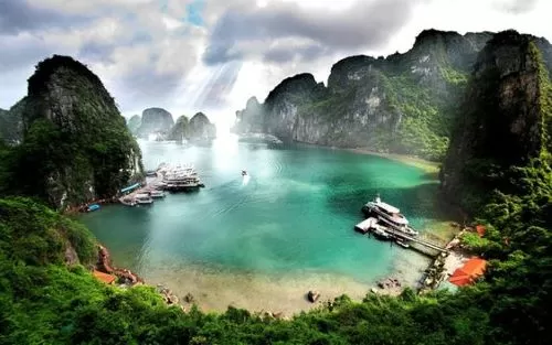 【ハノイ発】ハロン湾クルーズで出会う黄金の花｜世界遺産に咲く奇跡の絶景とベトナム旅行ガイド