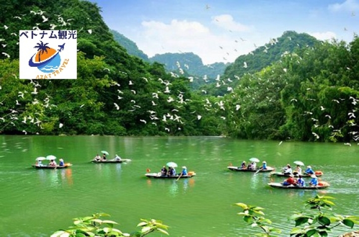 ニンビンのチャンアンボート・世界遺産チャンアンのボートを漕いで珍しい動物を見える・Trang An観光・ニンビン観光