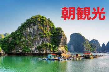 朝ハロン湾観光4時間ツアー