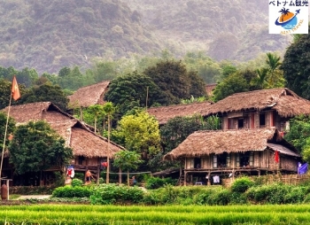 マイチャウ観光・日帰りツアー・ベトナムの民族の文化を見学・プライベートツアー